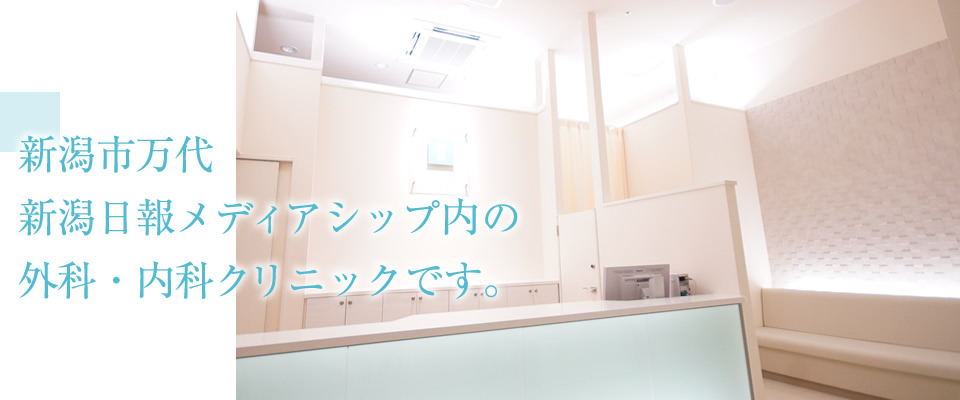 てらしま外科・内科クリニックは、新潟日報メディアシップ内の外科・内科クリニックです。